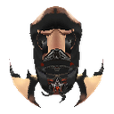Nightwing Helmet